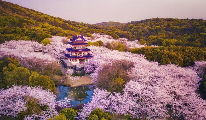 Chine 2026 – Voyage entre Tradition, Culture et Modernité - photo 4